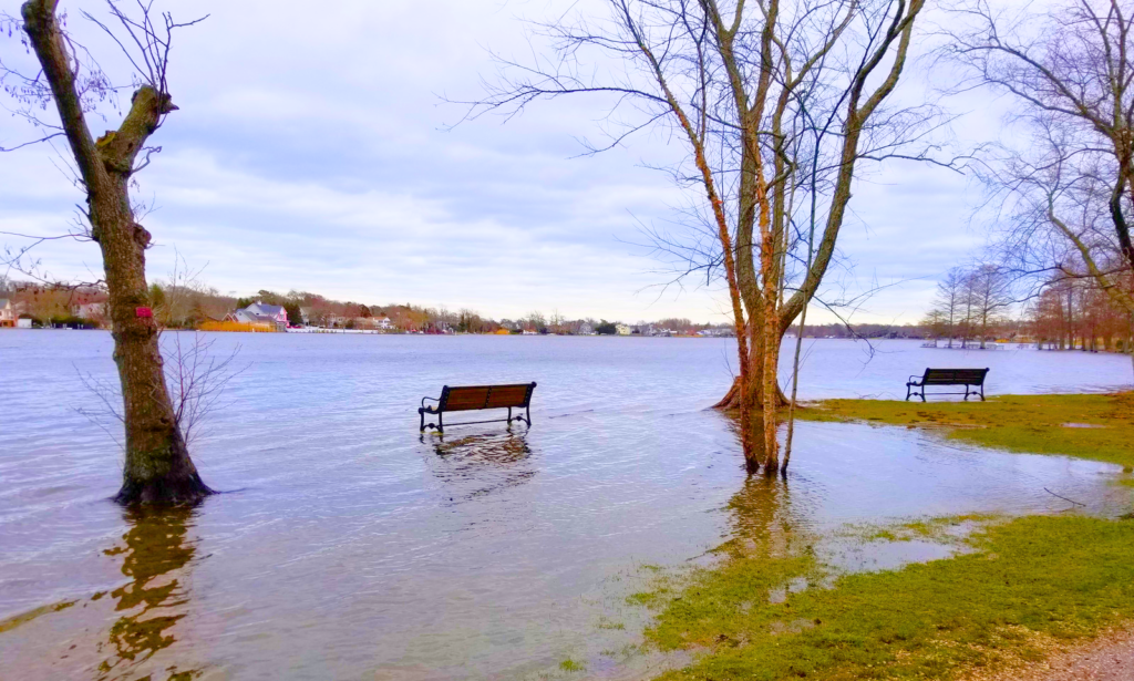 A Bench on the Water Waiting to Be Sat Upon Main Photo