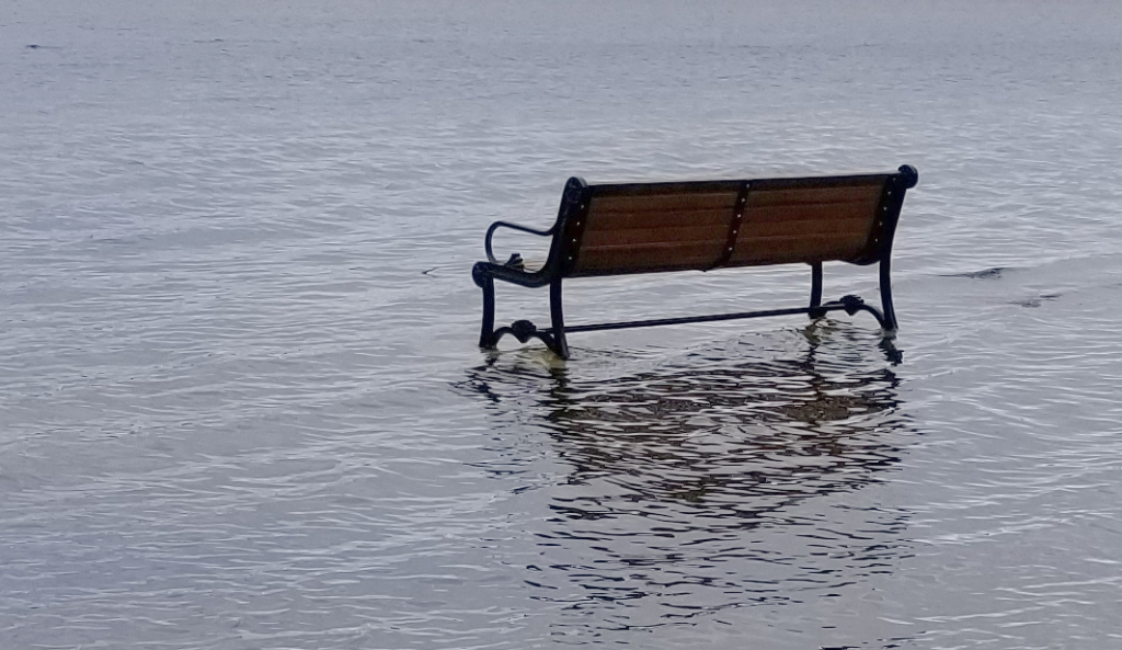 A Bench in Water Facing Left