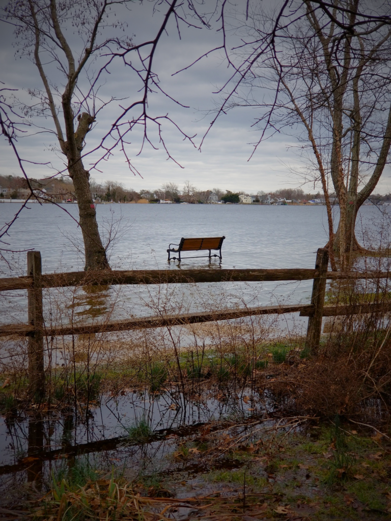 A Bench on Water Through a Fence