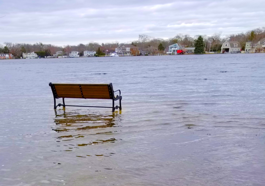 A Bench on the Water Waiting to Be Sat Upon